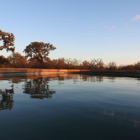 Bubulcus And Bolotas - Off Grid Nature Holiday Home Vimieiro (Evora) Exterior foto
